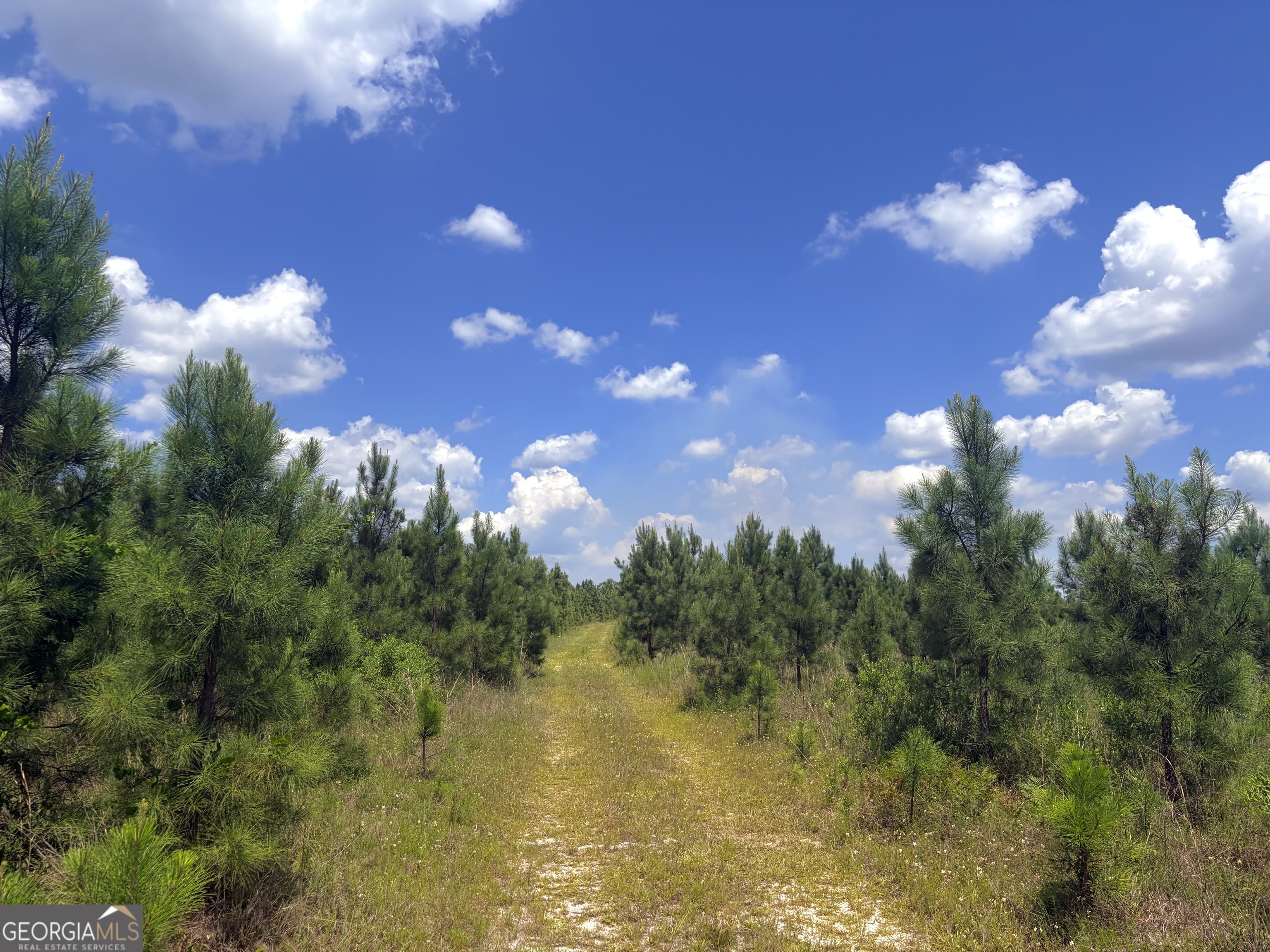 0 Ernest Carter Road Hazlehurst, GA 31539 - Photo 16 of 17 Gallery Image 16