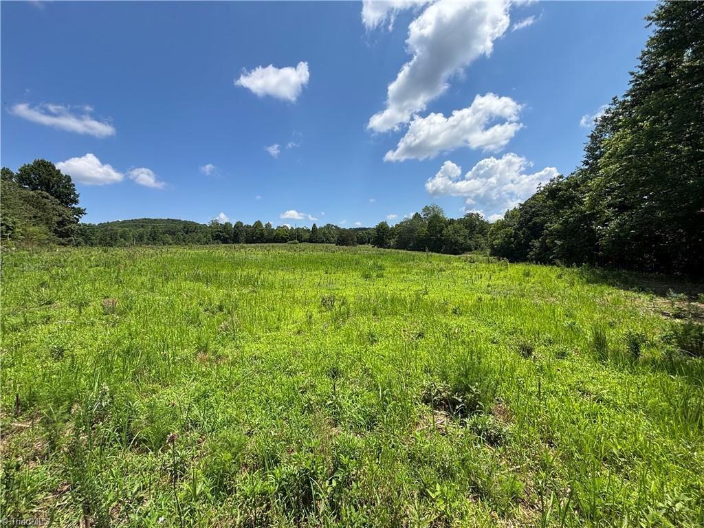 0 Brookhaven Road Statesville, NC 28625 - Photo 3 of 14