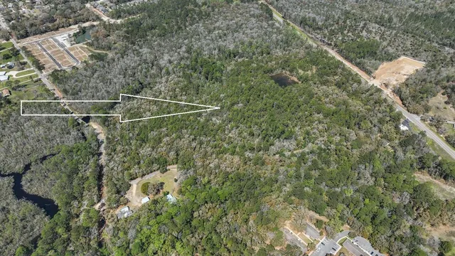 a view of a yard from a corridor
