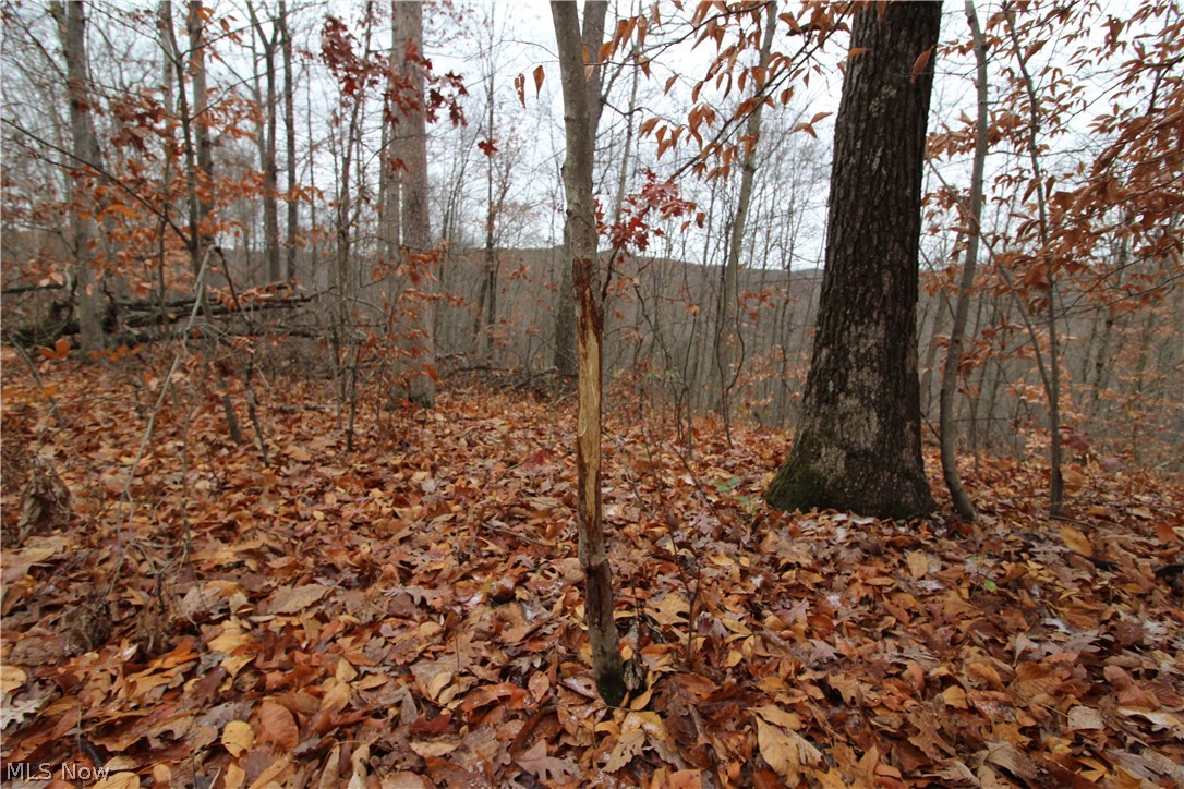 Wilson Run Road New Matamoras, OH 45767 - Photo 21 of 34 Gallery Image 21