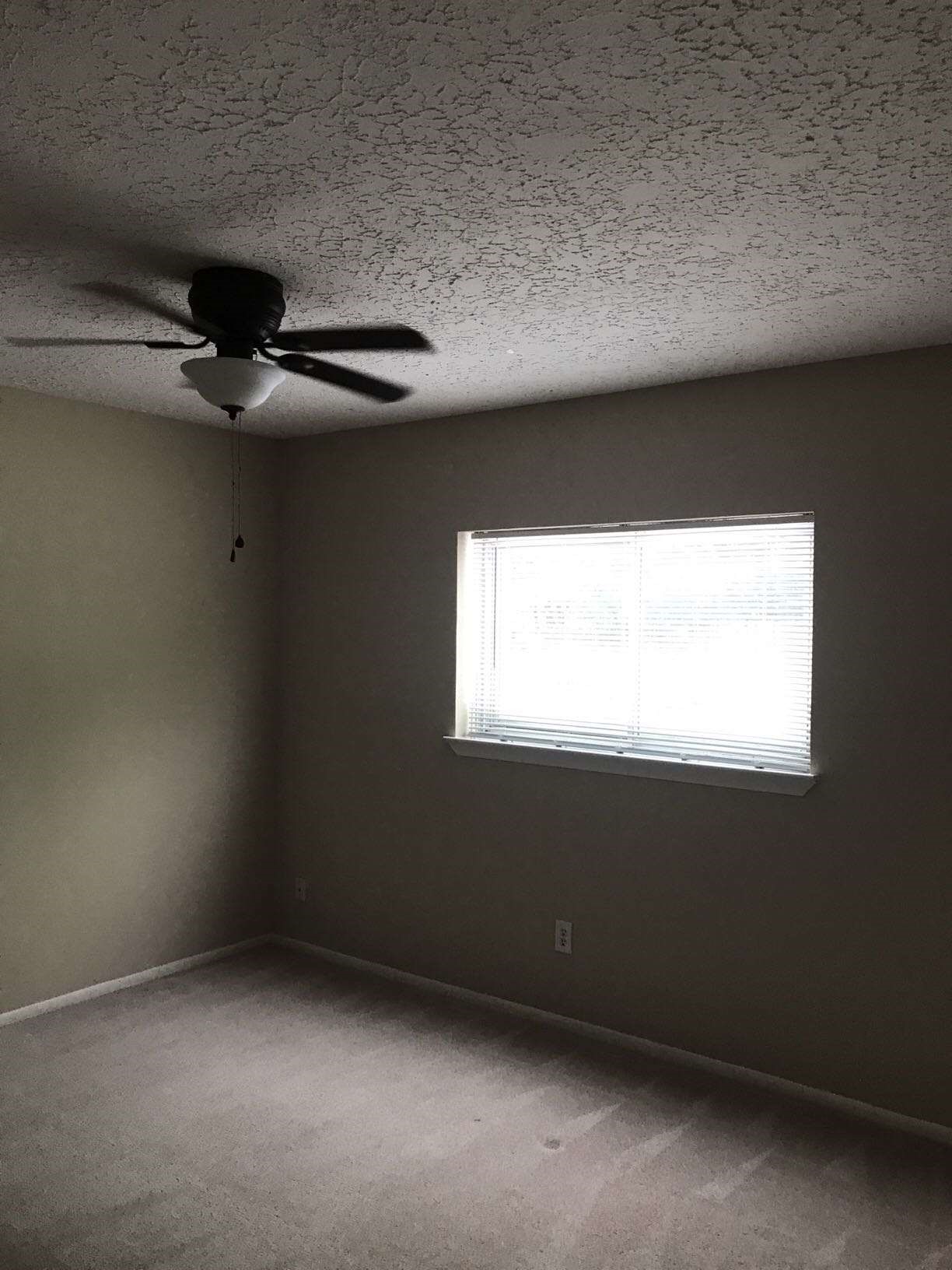 23238 Wintergate Drive Spring, TX 77373 - Photo 7 of 9