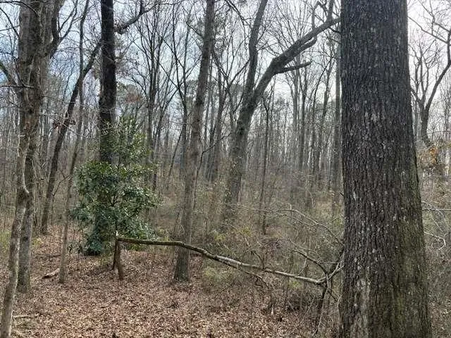 a view of outdoor space and yard