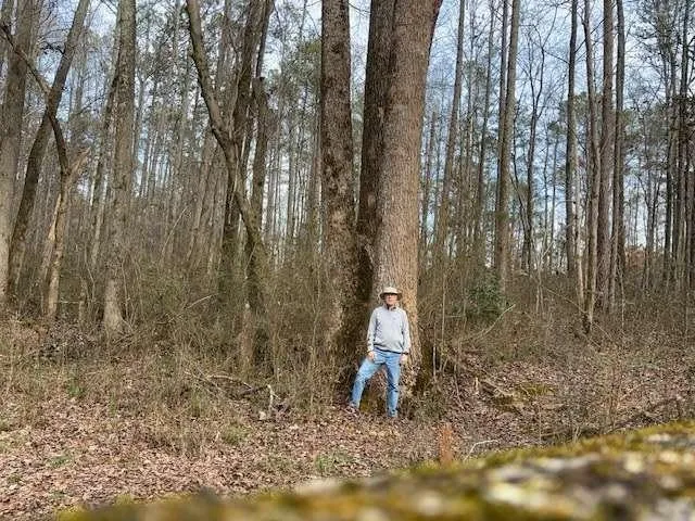 a view of outdoor space with trees