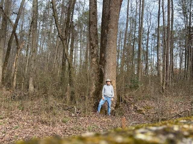 2994 Mt Zion Road, Unit 3 Carrollton, GA 30117 - Photo 3 of 7 a view of outdoor space with trees