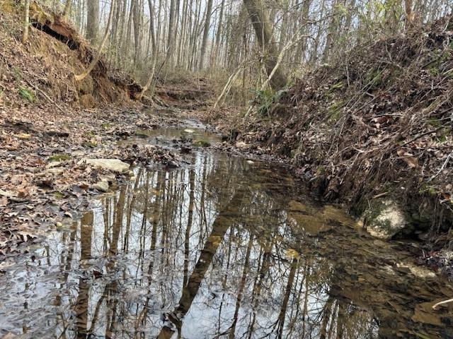2994 Mt Zion Road, Unit 3 Carrollton, GA 30117 - Photo 4 of 7 a view of a yard with a tree