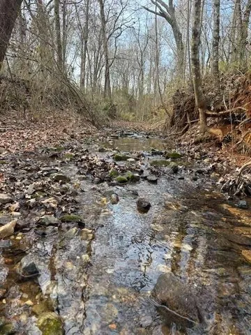 a view of a dry yard with trees