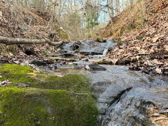 a view of lot of trees with outdoor space