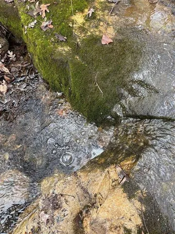 a backyard of a house