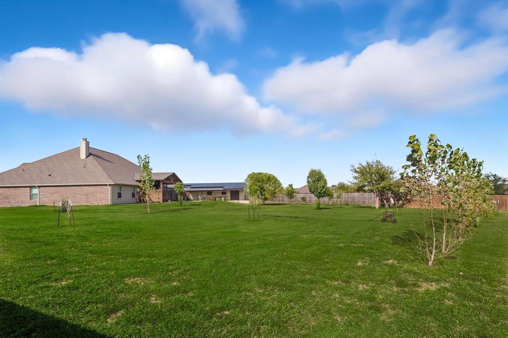 142 High Ridge Court Decatur, TX 76234 - Photo 35 of 40 a backyard of a house with lots of green space and plants