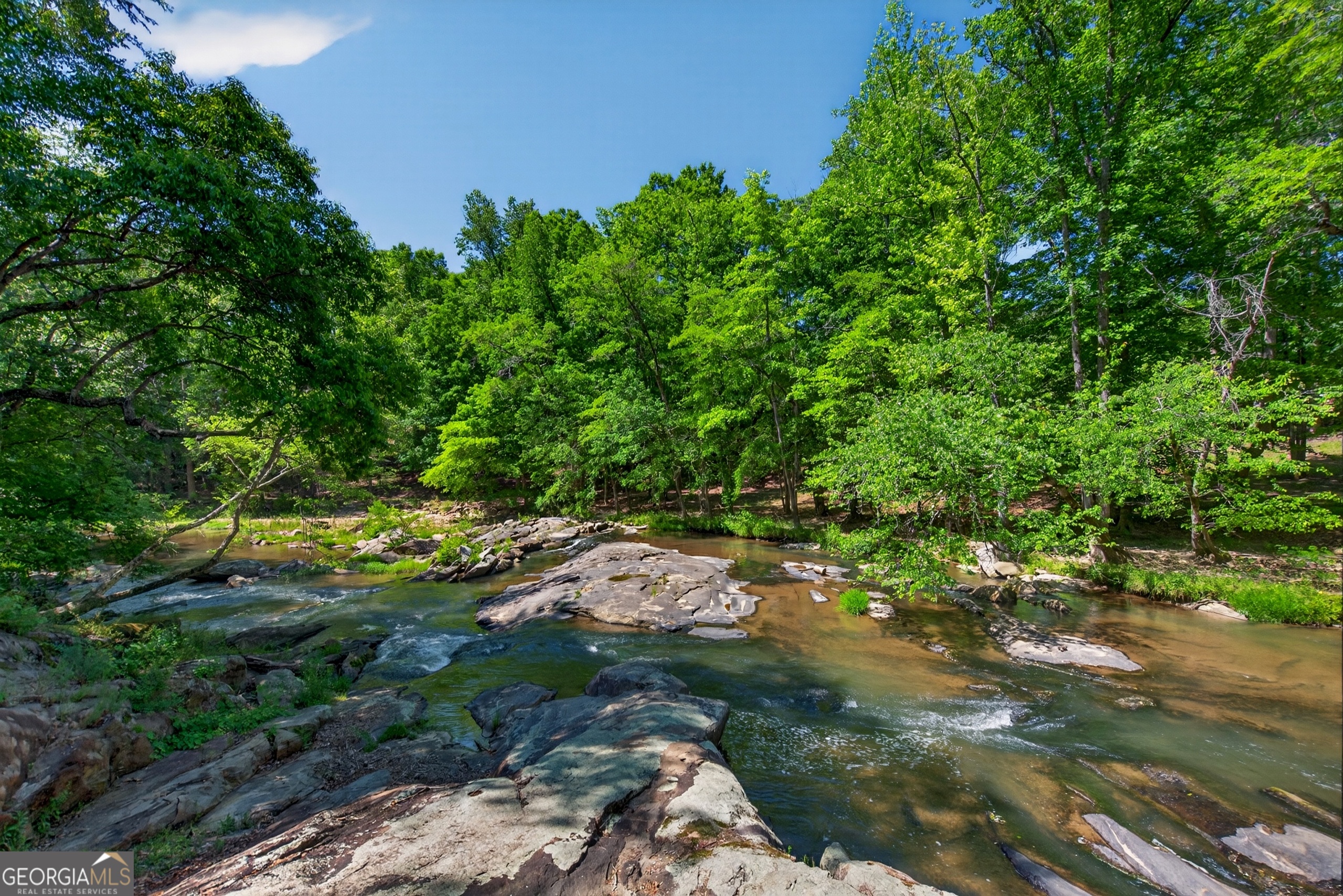 1326 Armstrong Mill Road Franklin, GA 30217 - Photo 52 of 72
