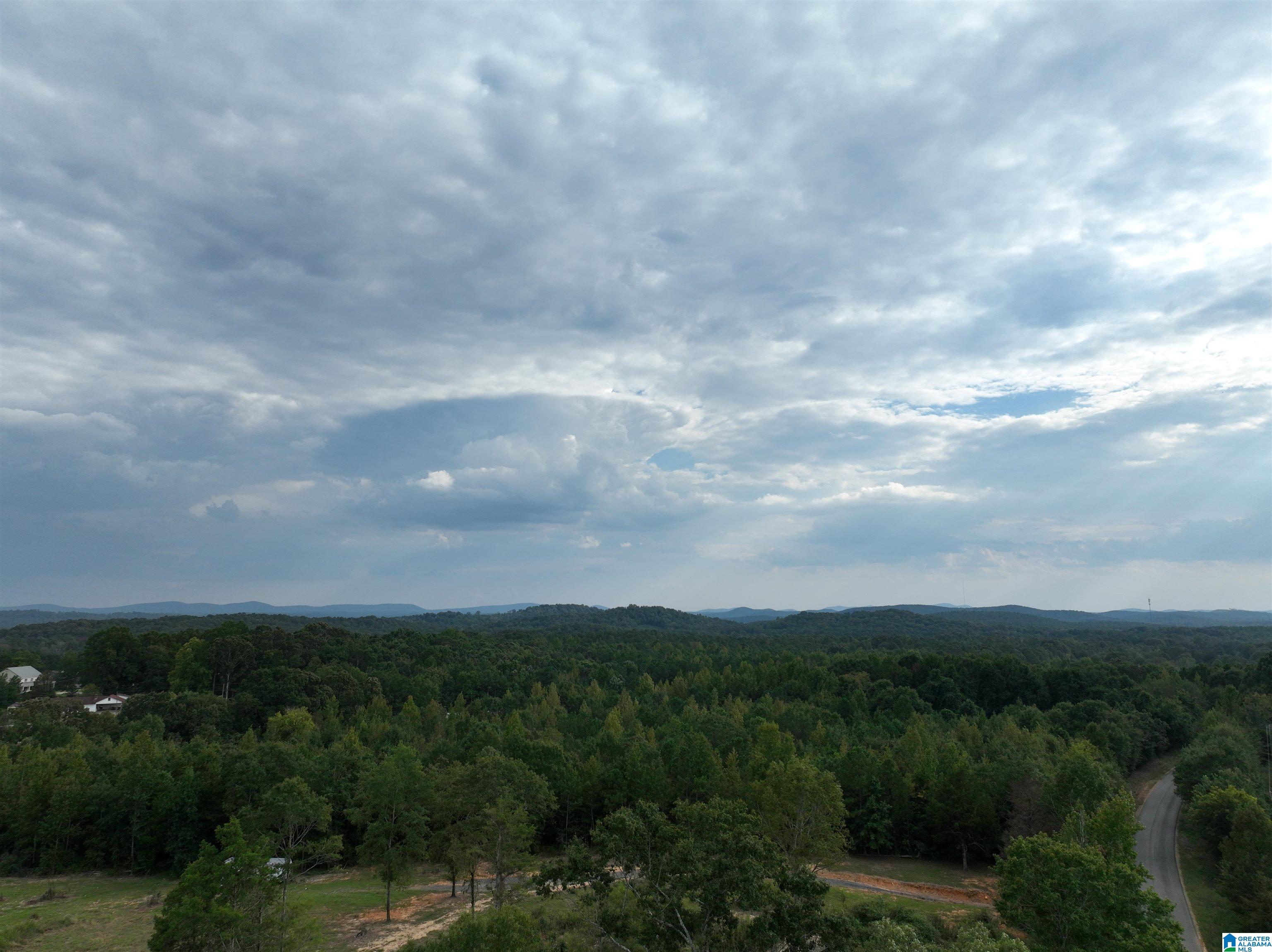 0 Campbell Road Munford, AL 36268 - Photo 6 of 13