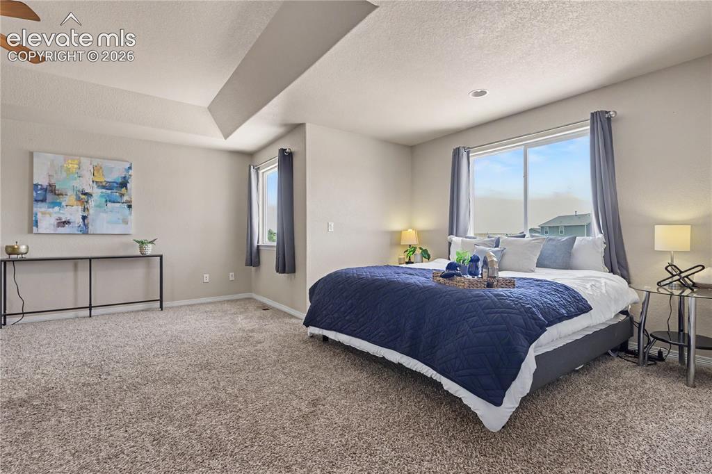 6598 Alliance Loop Colorado Springs, CO 80925 - Photo 16 of 39 Spacious bedroom featuring neutral carpeting, a tray ceiling with a ceiling fan, and large windows with privacy drapes