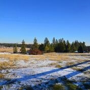 14222 South Murphy Road Cheney, WA 99004 - Photo 19 of 20