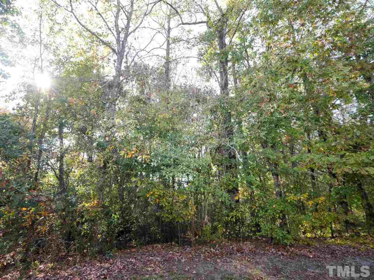 4604 Drewbridge Way Raleigh, NC 27604 - Photo 22 of 24 a view of a forest with lots of trees