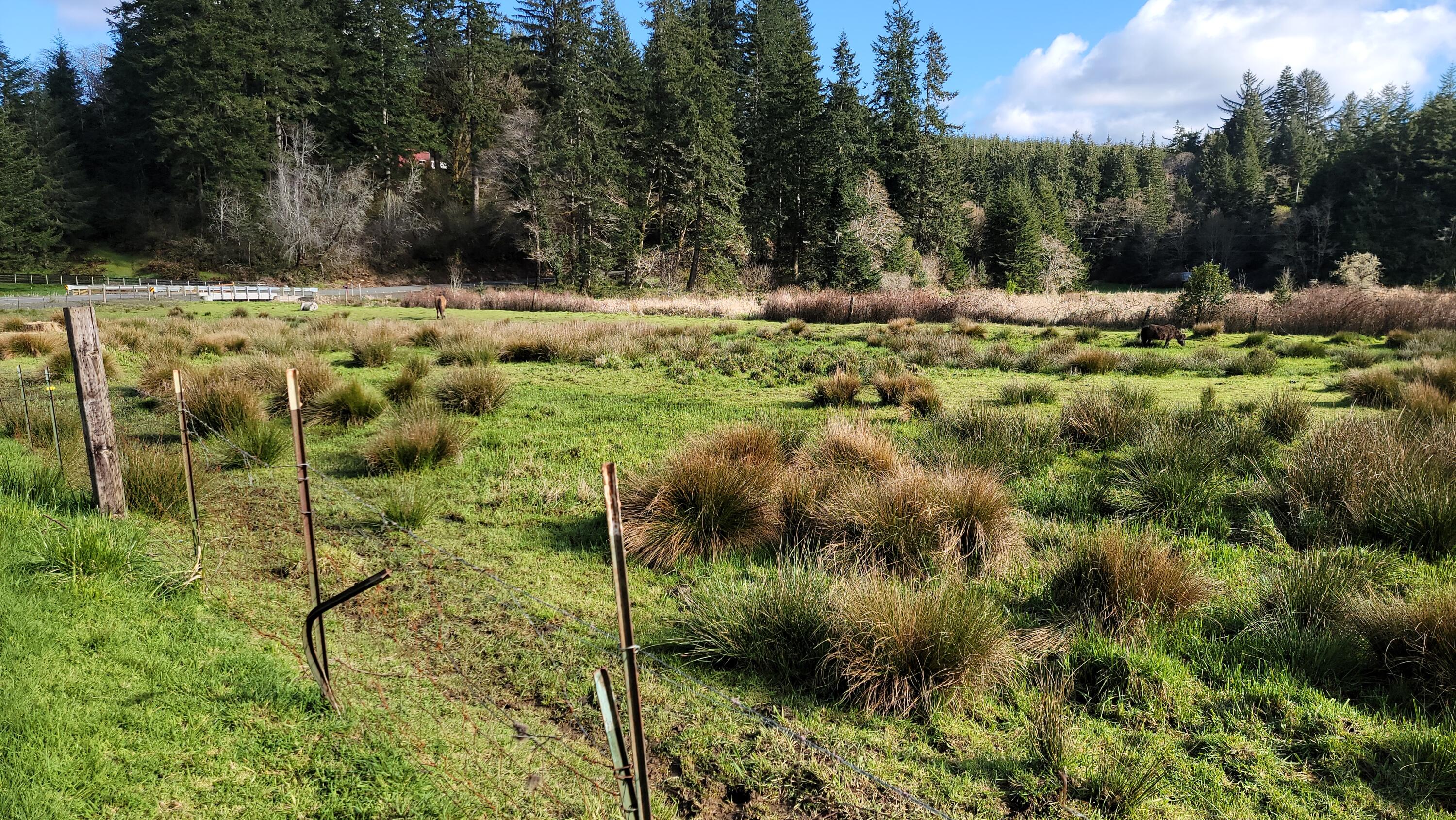 62518 Old Wagon Road Coos Bay, OR 97420 - Photo 39 of 41 20230412_171910