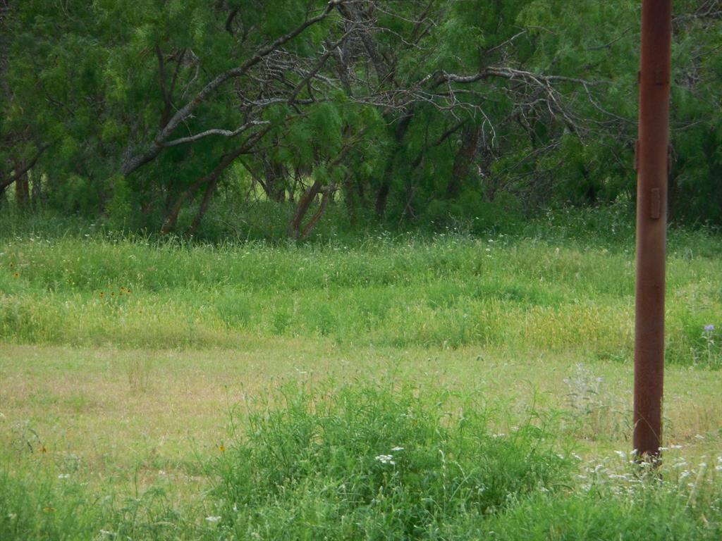 605 East Loop 254 Ranger, TX 76470 - Photo 16 of 21 a view of a lush green space