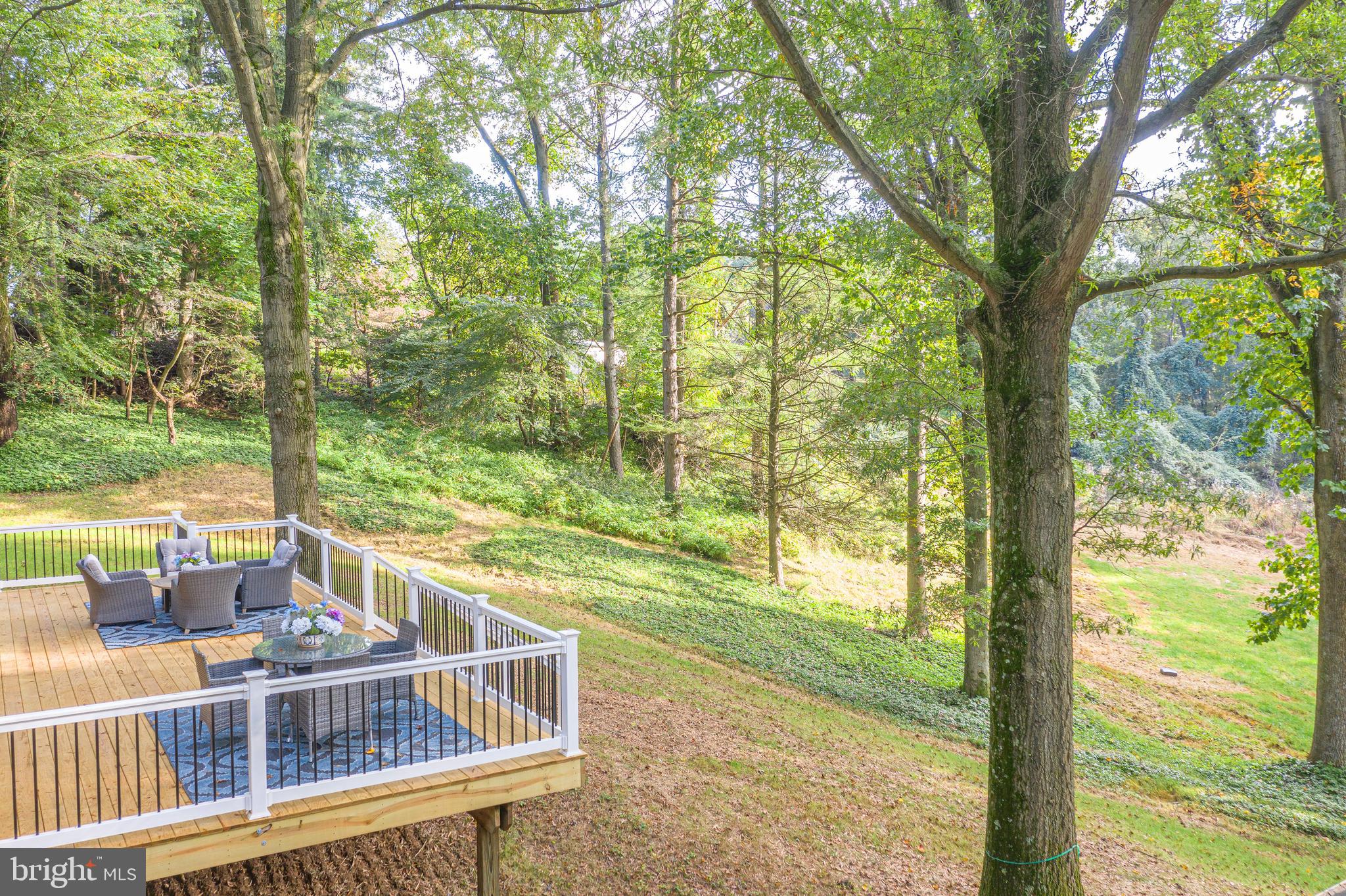 837 Summerset Drive Hockessin, DE 19707 - Photo 4 of 45 Back Deck and views