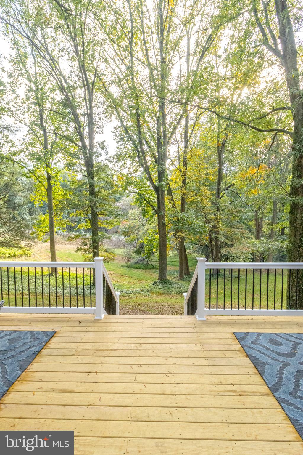837 Summerset Drive Hockessin, DE 19707 - Photo 37 of 45 View From Back Deck