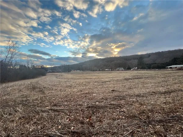 $190,000 | Lot 1 Route 22, Dover Plains, NY 12522