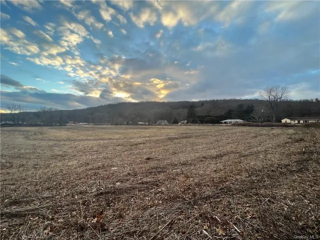$190,000 | Lot 1 Route 22, Dover Plains, NY 12522