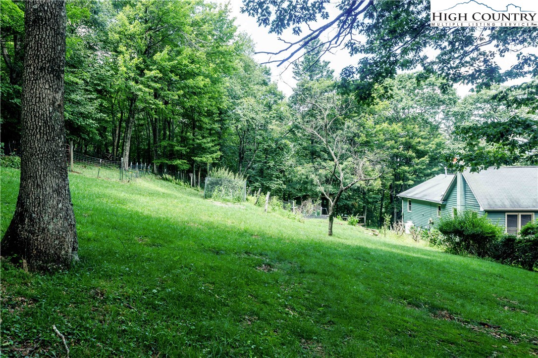 5033 Junaluska Road Boone, NC 28607 - Photo 24 of 34 a view of green field with a tree
