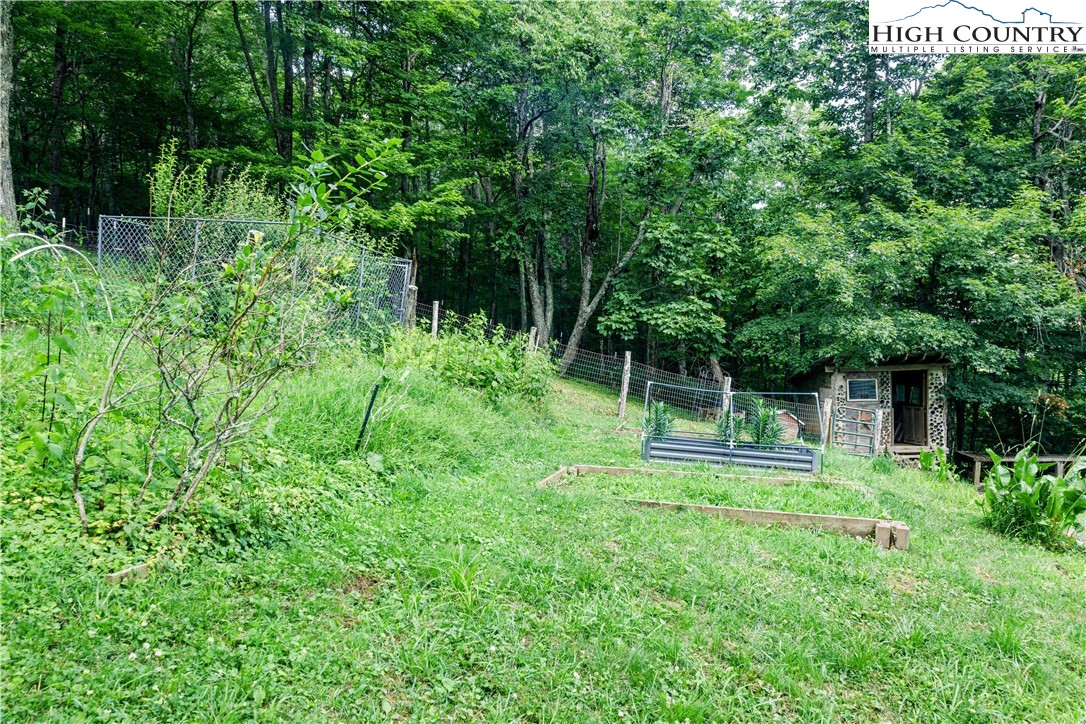 5033 Junaluska Road Boone, NC 28607 - Photo 25 of 34 a backyard of a house with plants and large trees