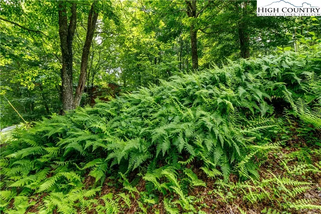 a view of a house with a park