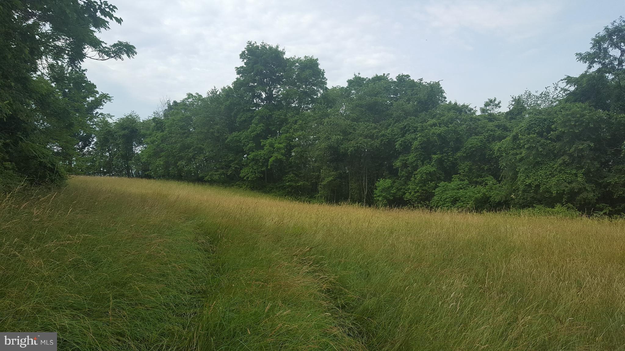 4349 Middlepoint Road Myersville, MD 21773 - Photo 11 of 27 a view of a lake view with a trees in the background
