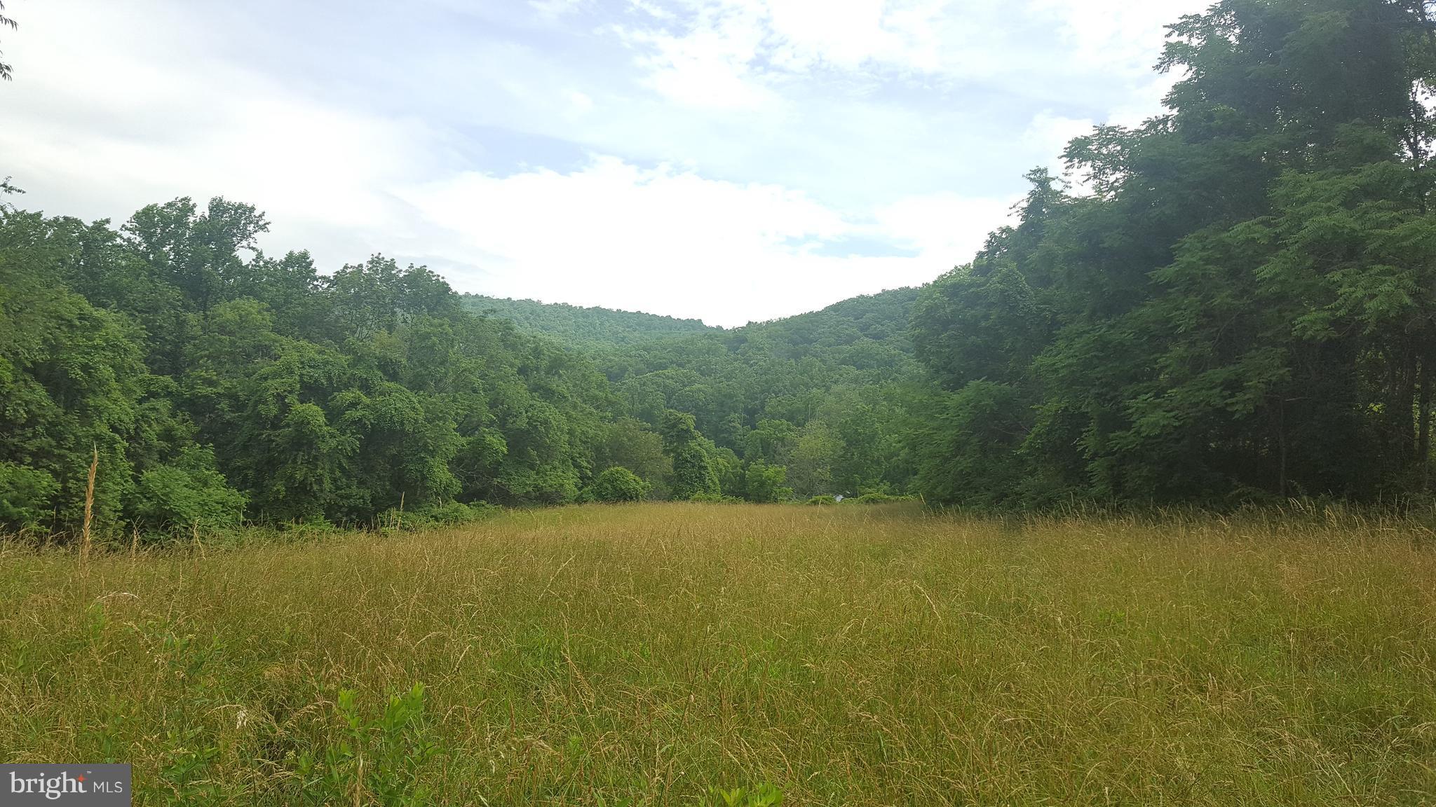 4349 Middlepoint Road Myersville, MD 21773 - Photo 12 of 27 a view of a lake view