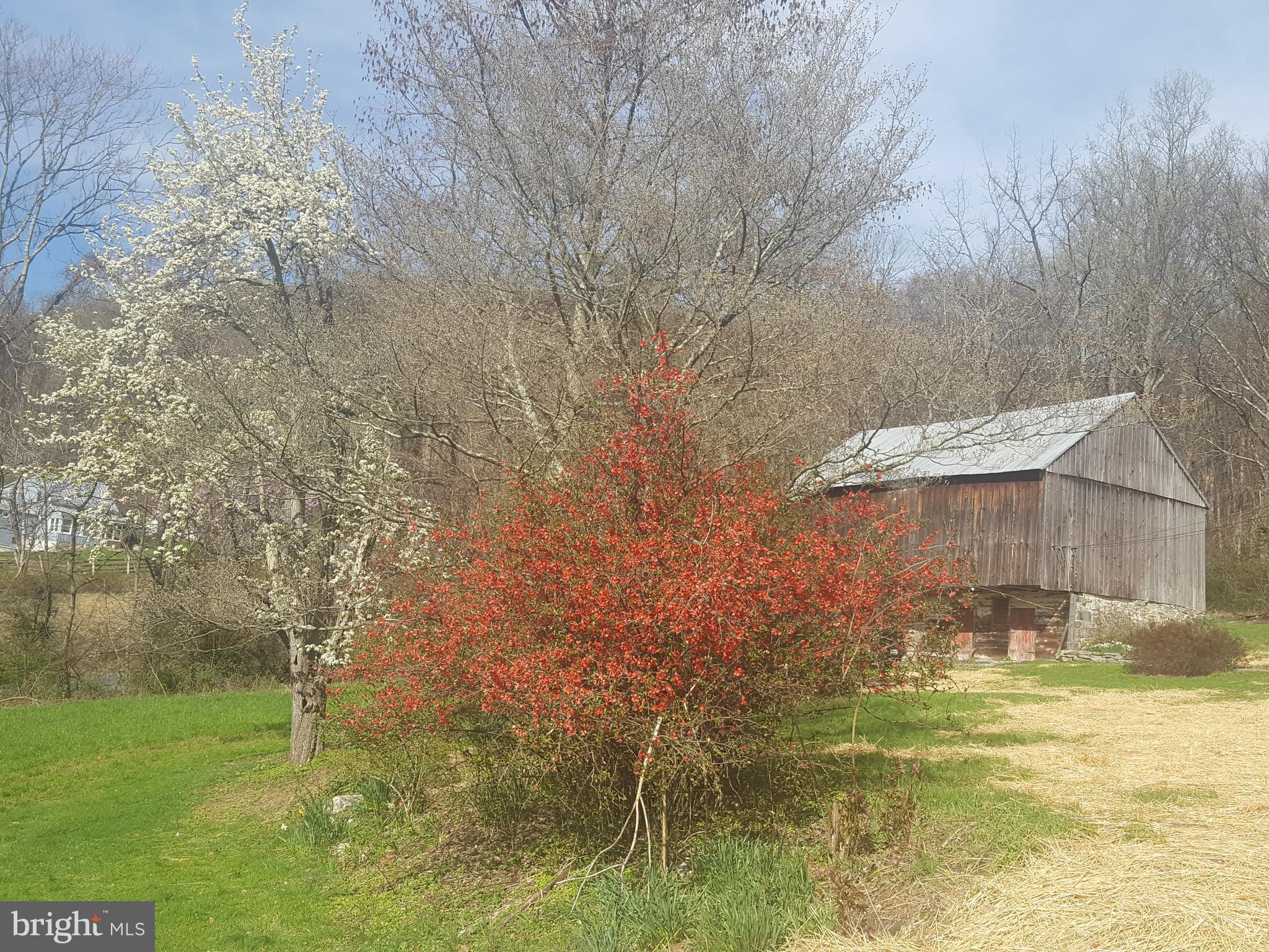 4349 Middlepoint Road Myersville, MD 21773 - Photo 15 of 27 a view of a lake view