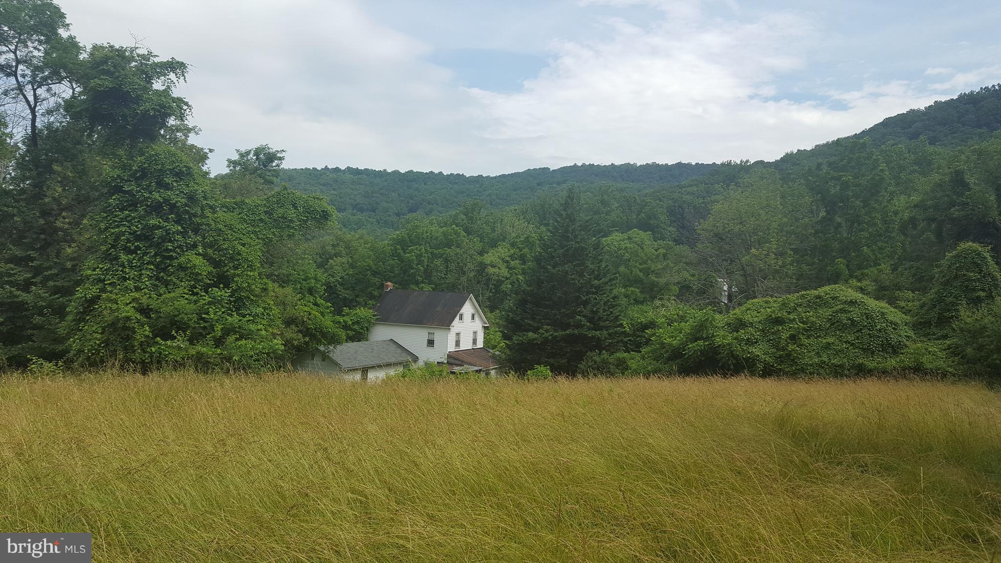 4349 Middlepoint Road Myersville, MD 21773 - Photo 3 of 27 a view of outdoor space and yard