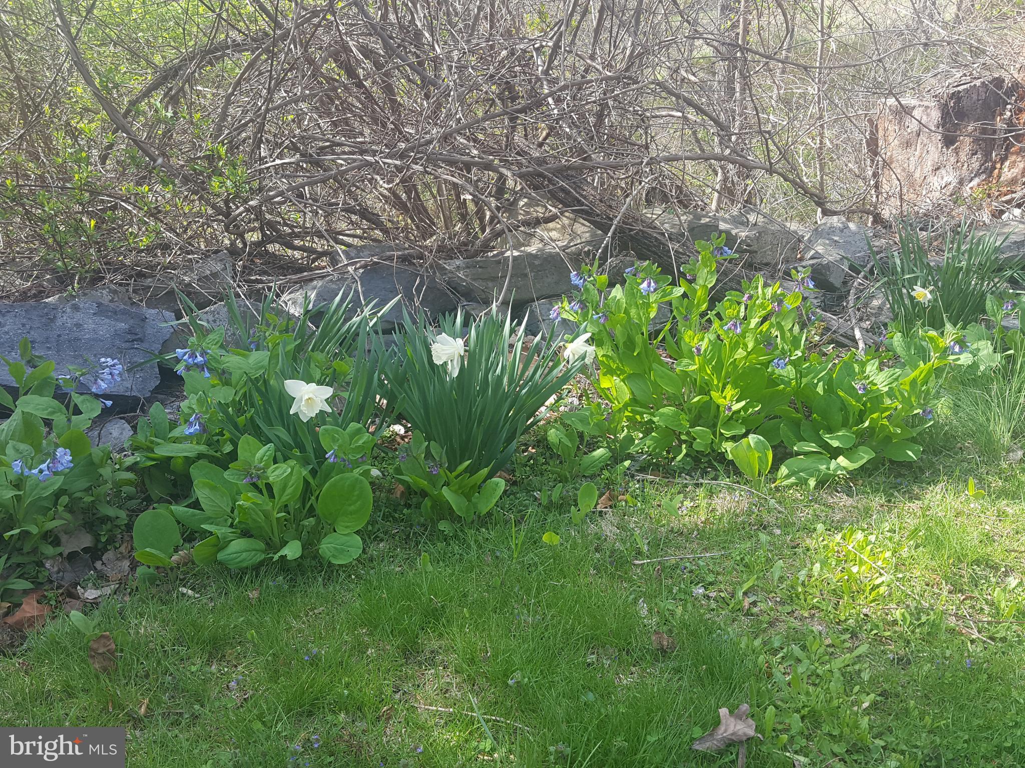 4349 Middlepoint Road Myersville, MD 21773 - Photo 26 of 27 a backyard of a house with lots of green space and garden