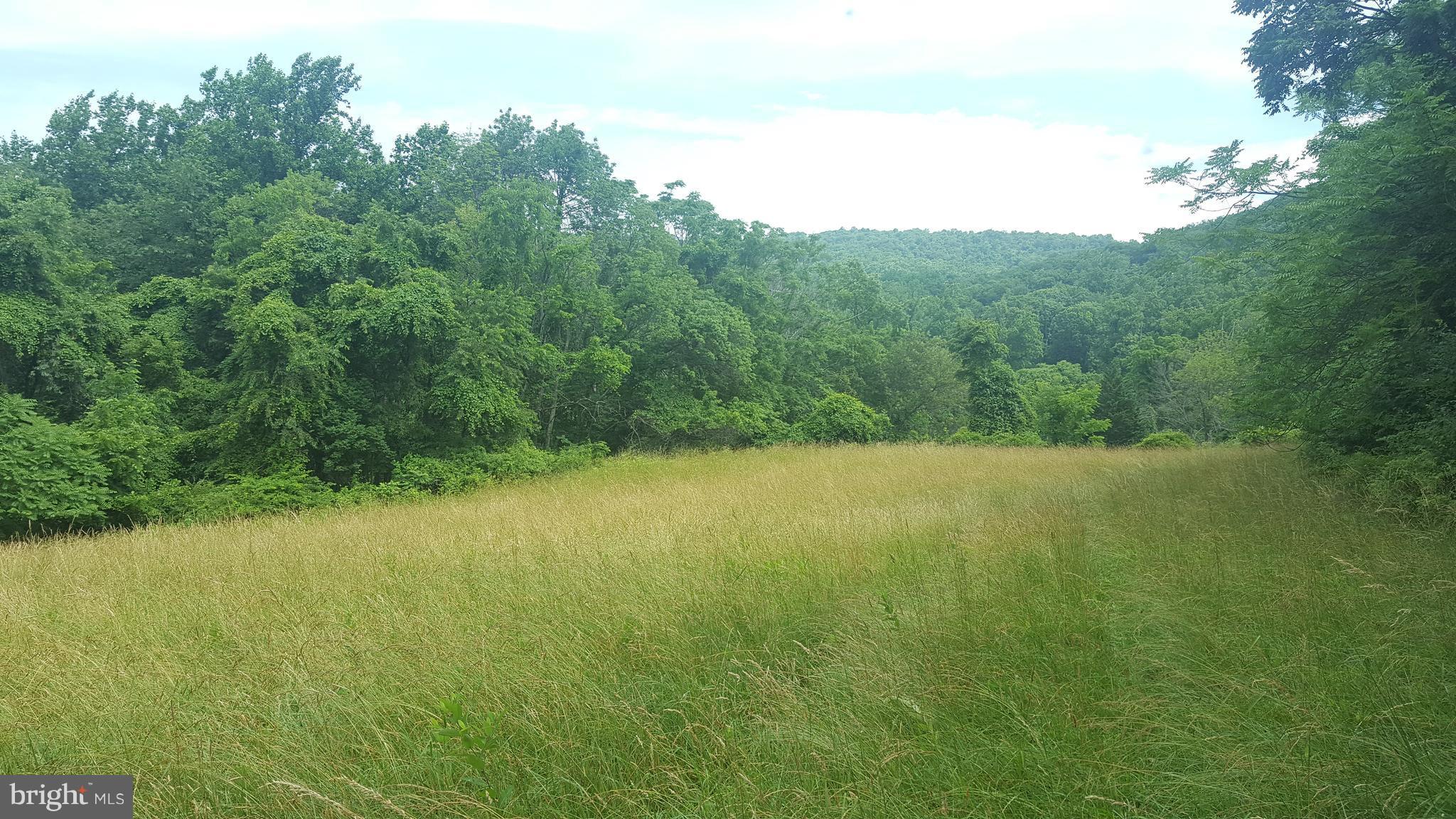4349 Middlepoint Road Myersville, MD 21773 - Photo 10 of 27 a view of a field with an outdoor space