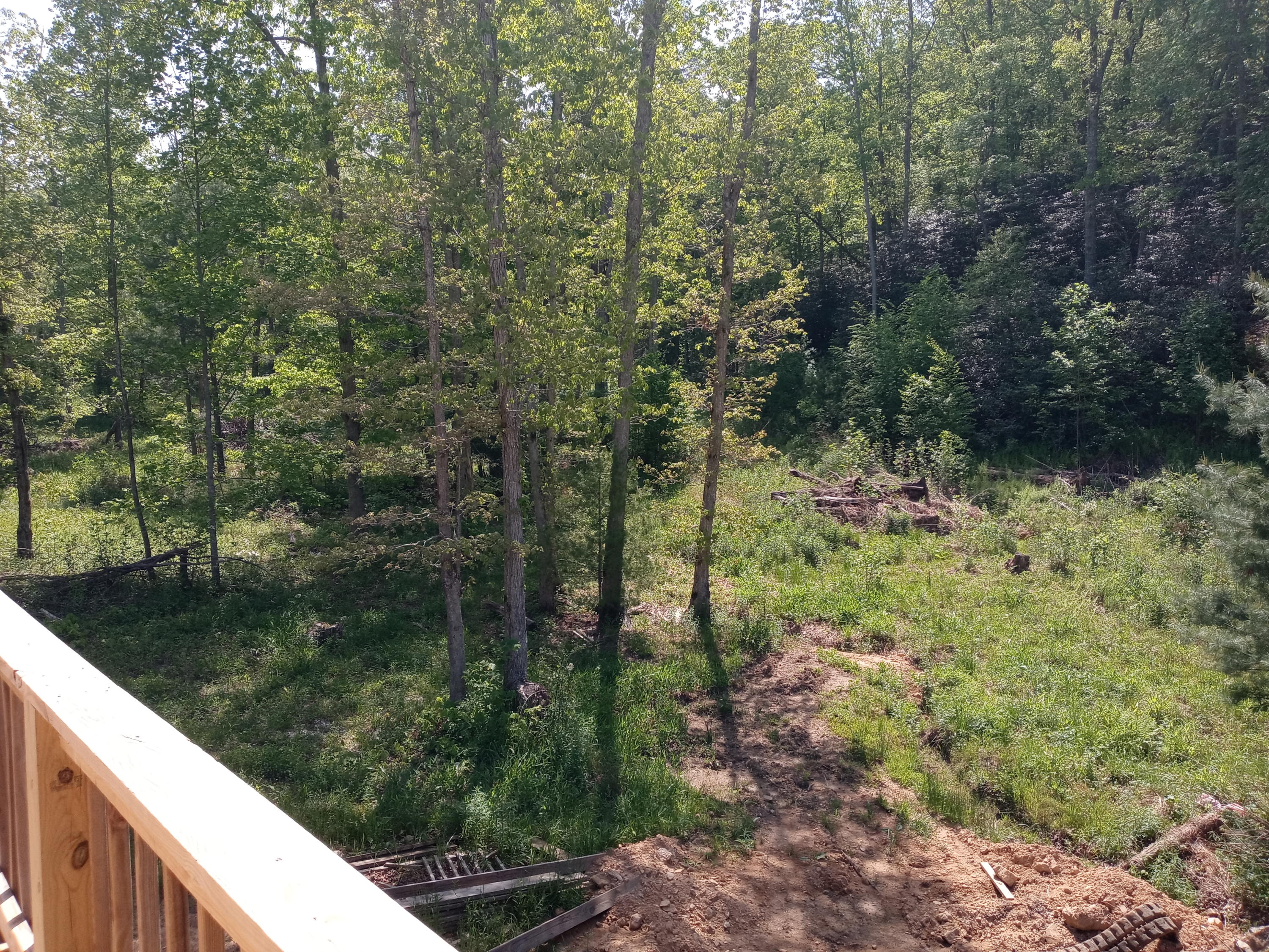 1482 Scioto Road Elizabethton, TN 37643 - Photo 7 of 36 20210524_110324