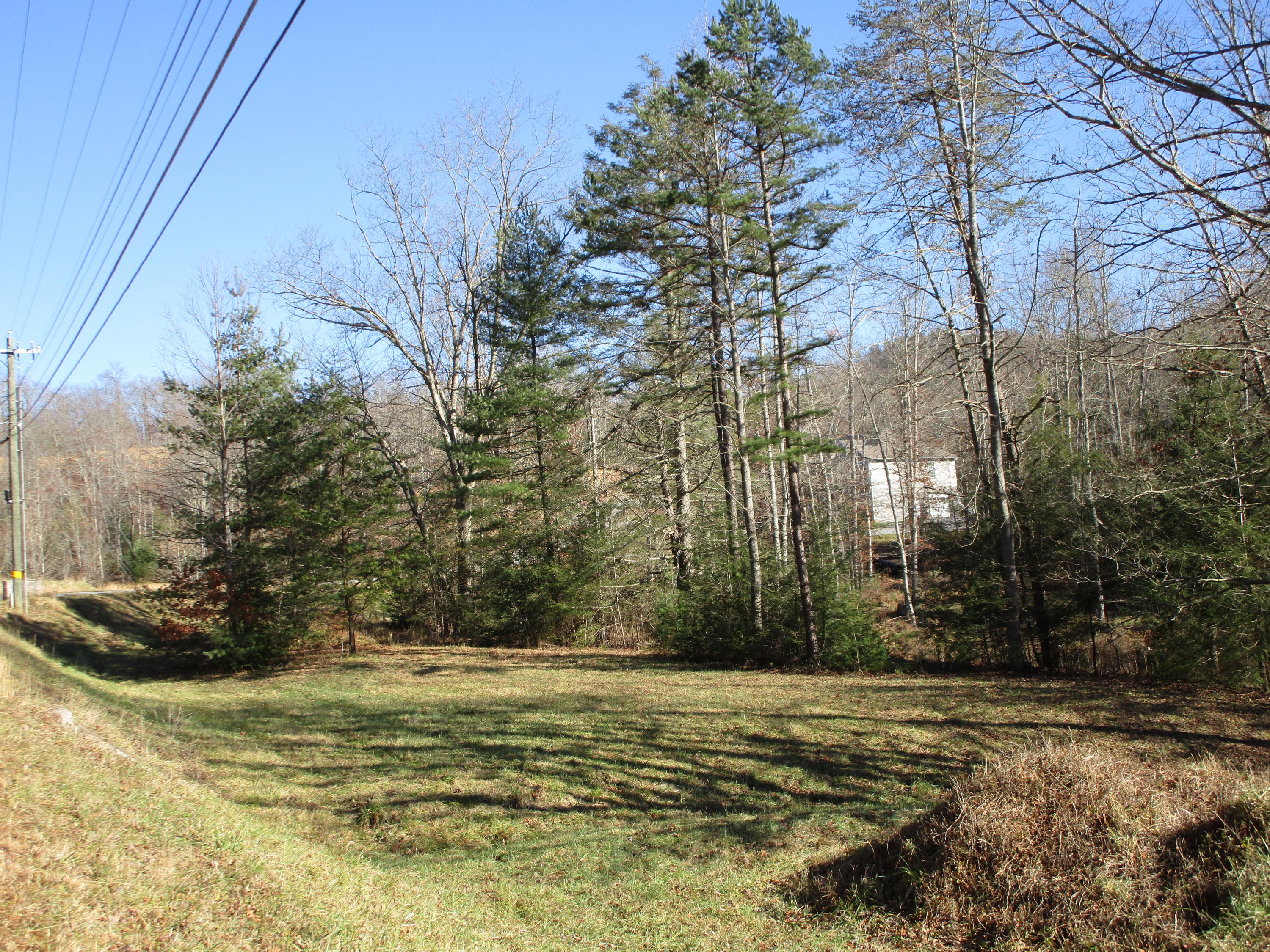1482 Scioto Road Elizabethton, TN 37643 - Photo 10 of 36 IMG_2060