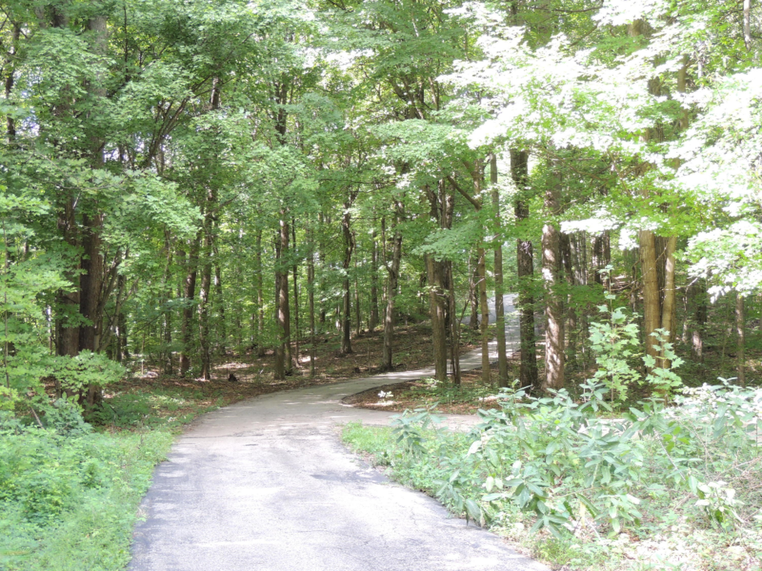 6333 West Garbow Road Middleville, MI 49333 - Photo 29 of 31 DSCN5993a