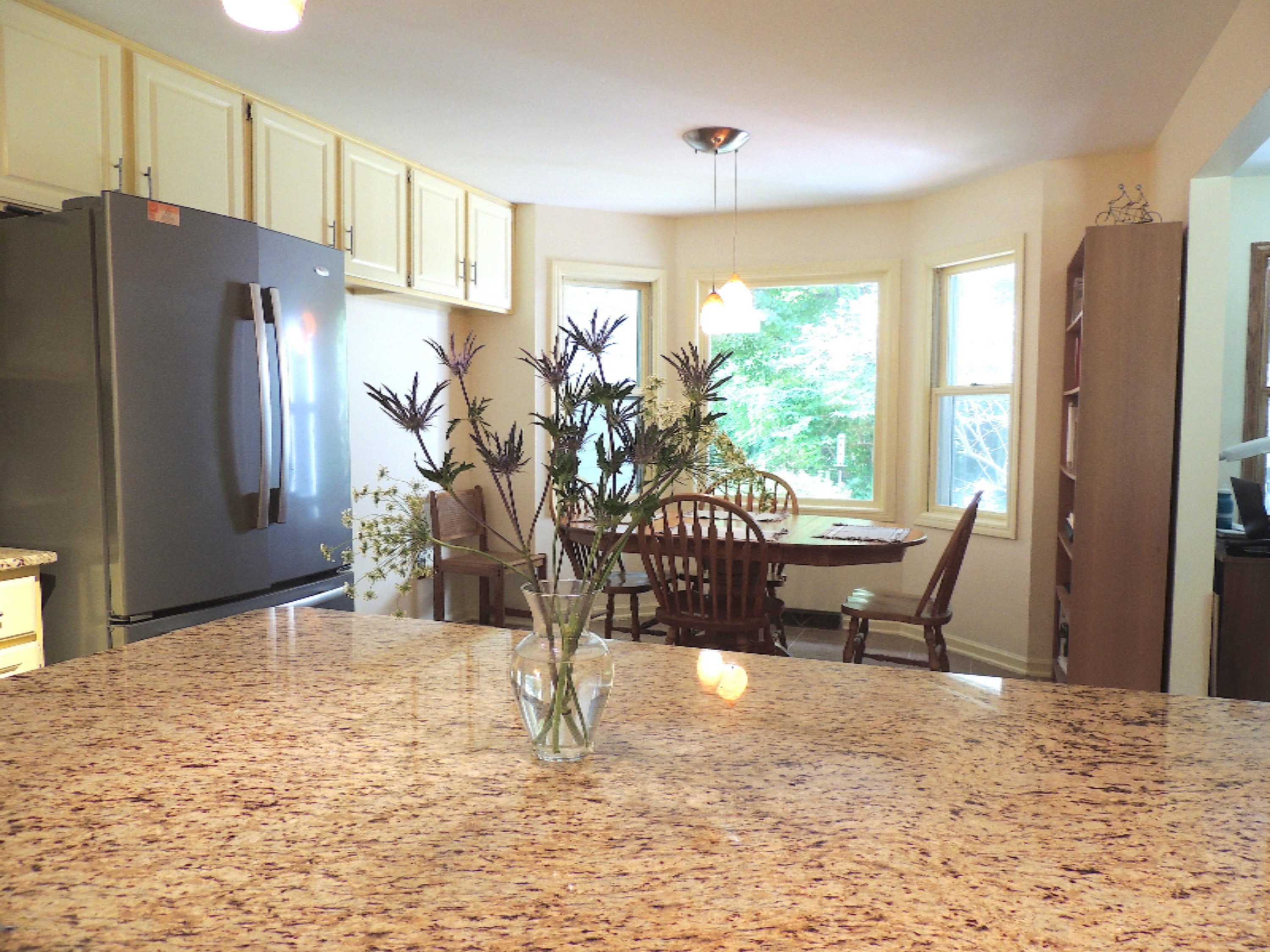 6333 West Garbow Road Middleville, MI 49333 - Photo 3 of 31 DSCN5790x