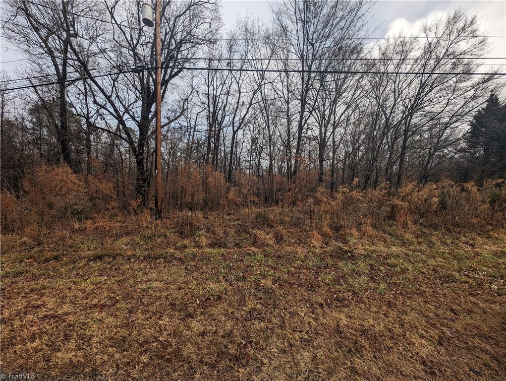 255 Bowers Road Thomasville, NC 27360 - Photo 4 of 12