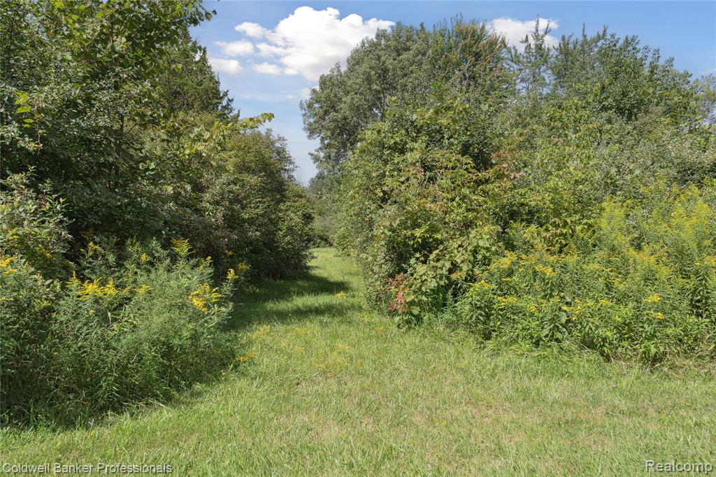 11377 North Lewis Road Clio, MI 48420 - Photo 42 of 57