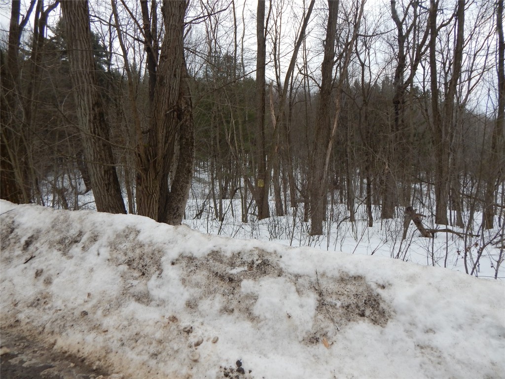 0 Stiles Road Coventry, NY 13778 - Photo 3 of 7 Gallery Image 3