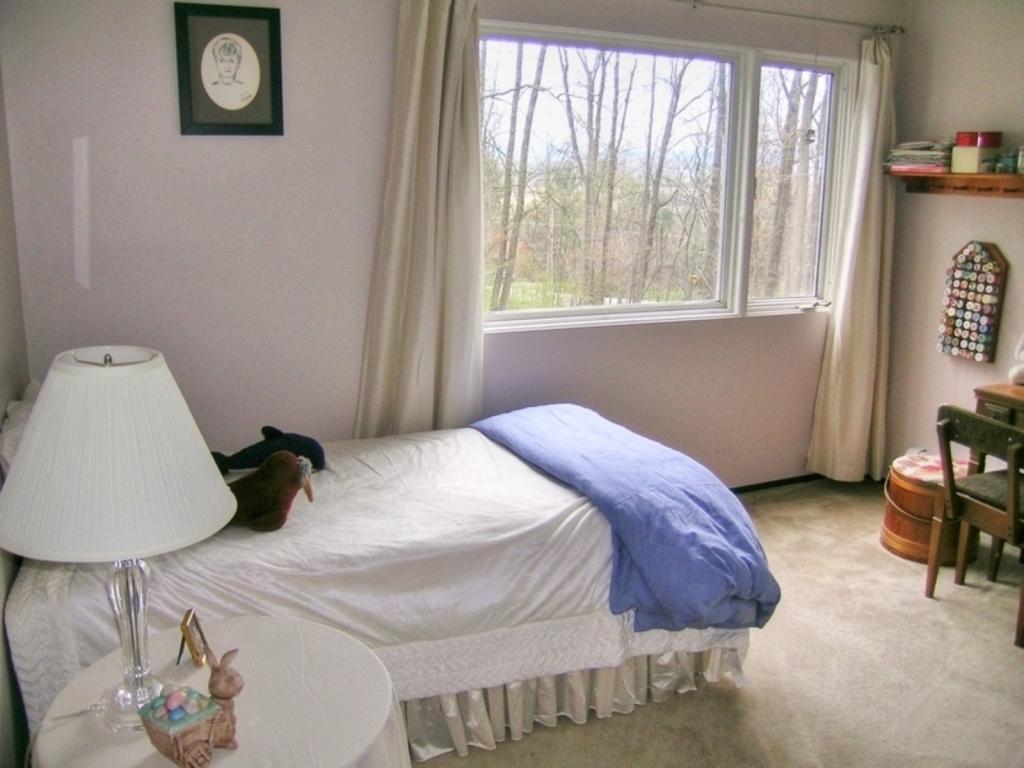 3340 Mt Philo Road Charlotte, VT 05445 - Photo 29 of 35 Gallery Image 29
