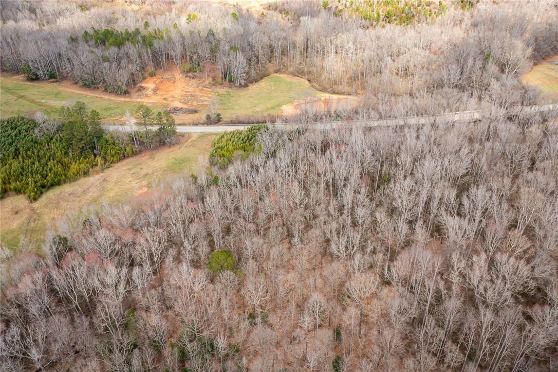 316 Fairview Church Road Fountain Inn, SC 29644 - Photo 12 of 20