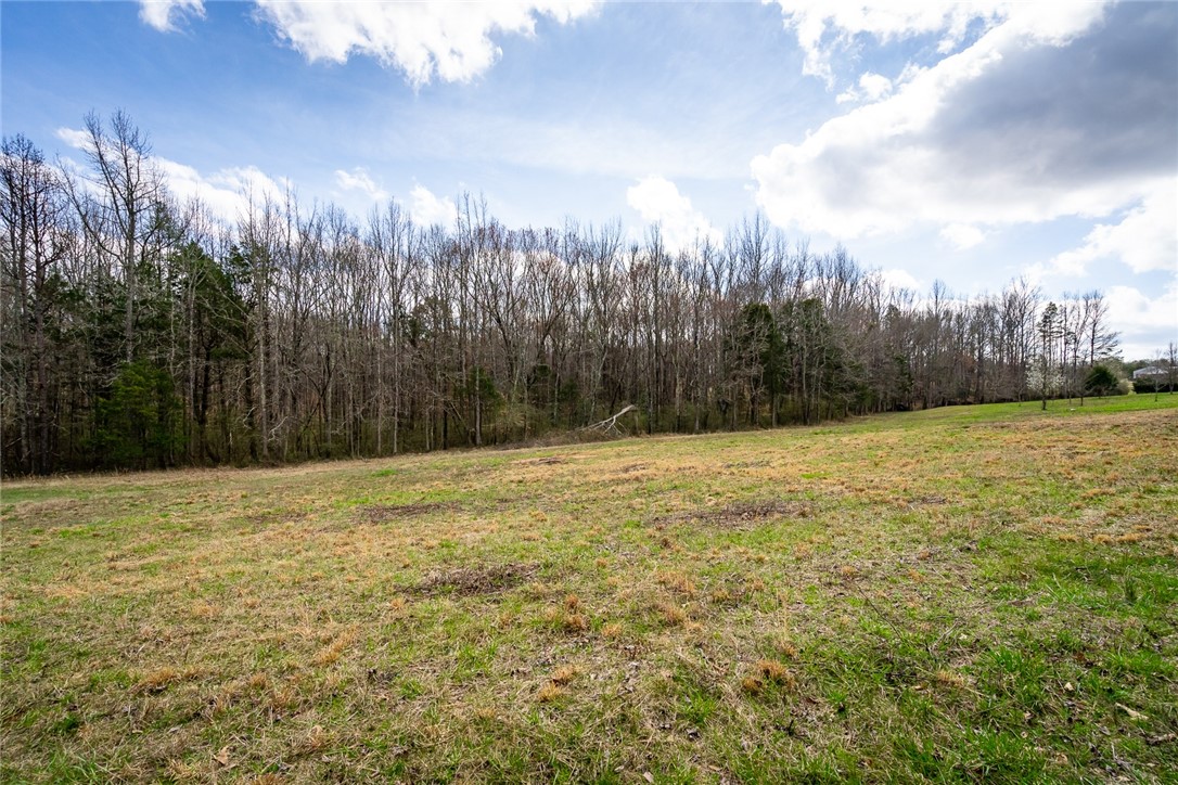 316 Fairview Church Road Fountain Inn, SC 29644 - Photo 5 of 20