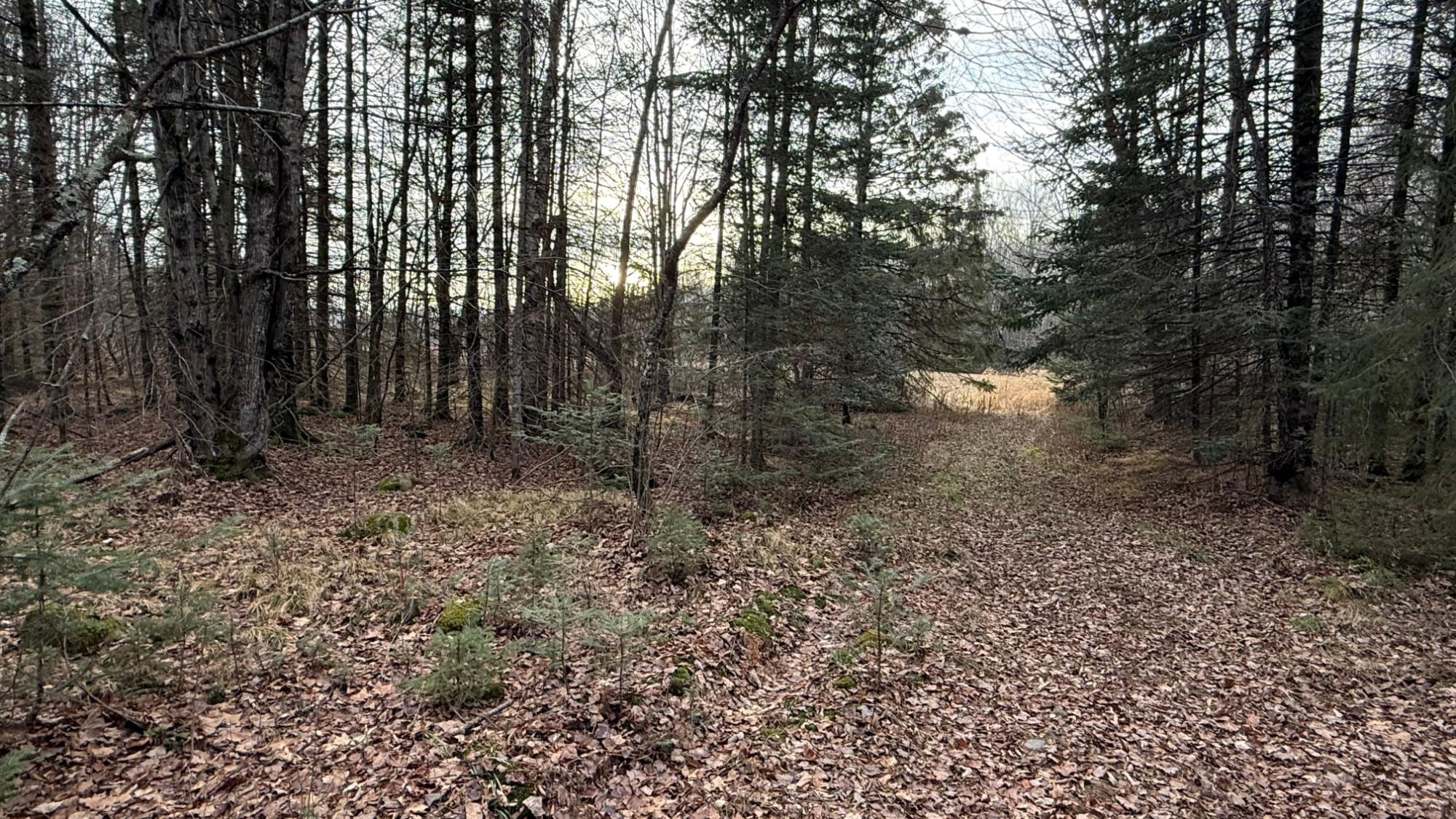 Off South Park Road, Unit 80 / A Butternut, WI 54514 - Photo 2 of 47 Gallery Image 2