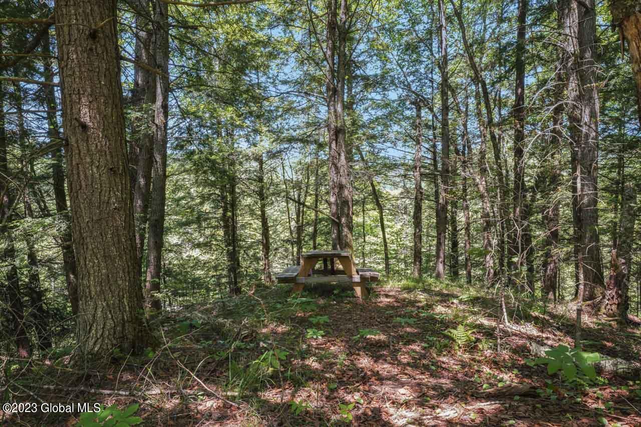 828 Old Furnace Road Crown Point, NY 12928 - Photo 35 of 48 828_Old_Furnace_Rd_NY-06-23-2023-34