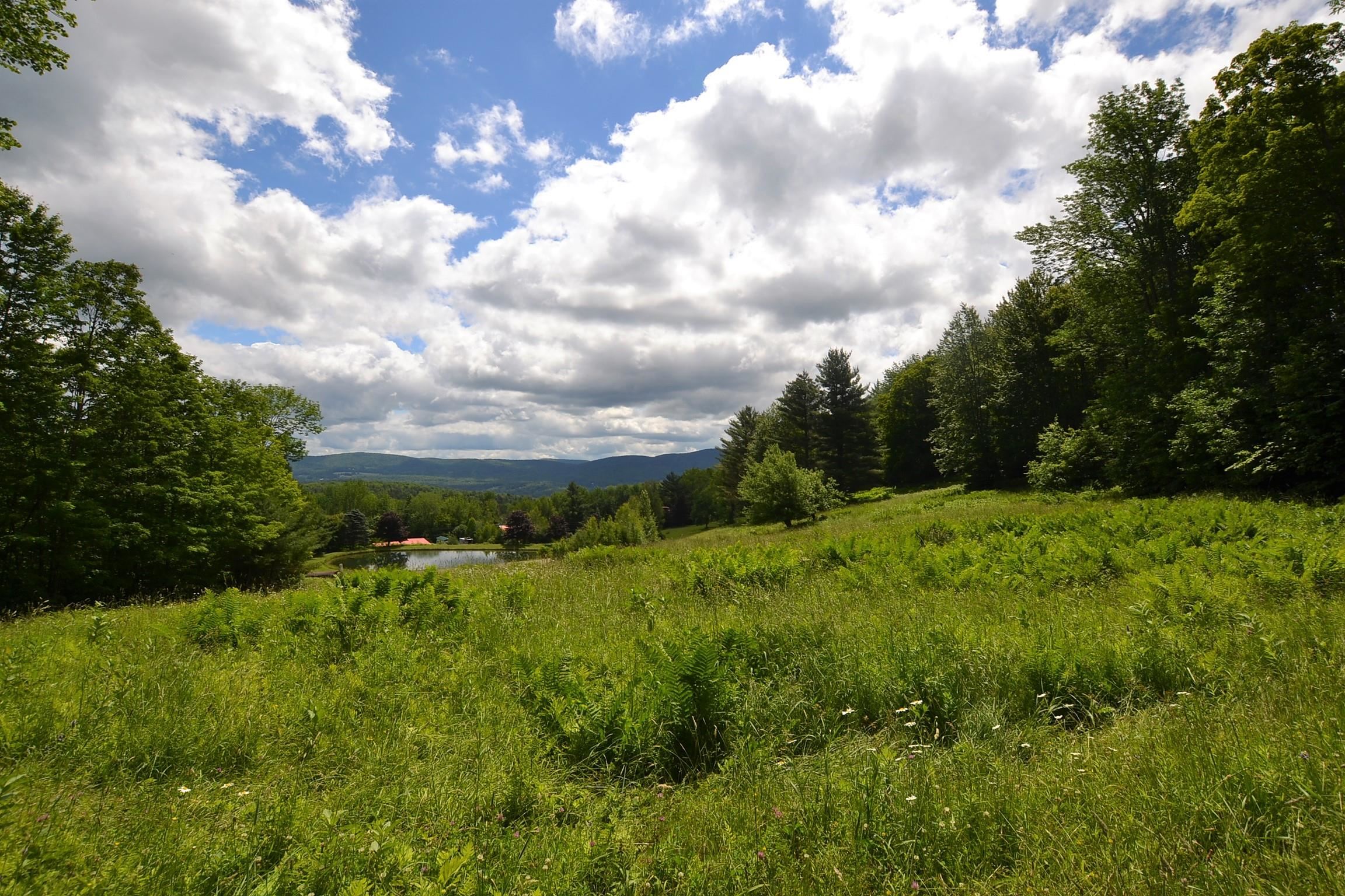 773 Turner Hill Road Duxbury, VT 05660 - Photo 34 of 40 Gallery Image 34