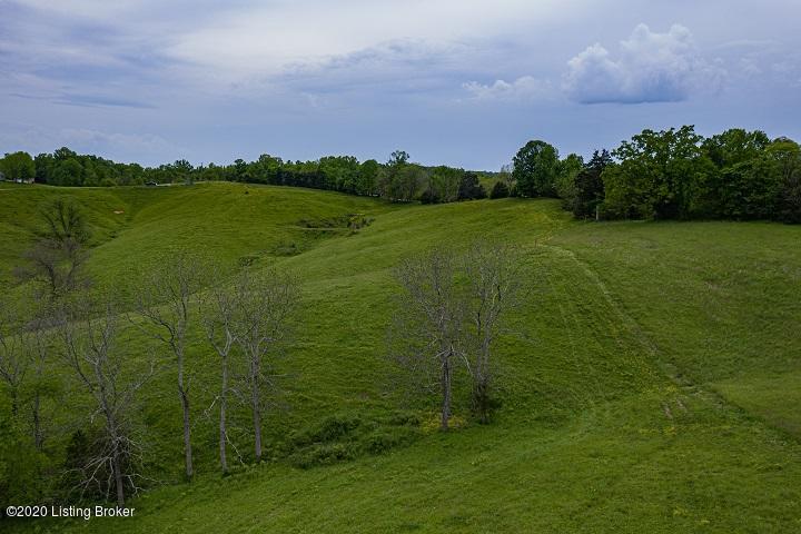 1 Fairmount Tanner Road Lawrenceburg, KY 40342 - Photo 33 of 39 0000 Fairview Rd (21 of 24)