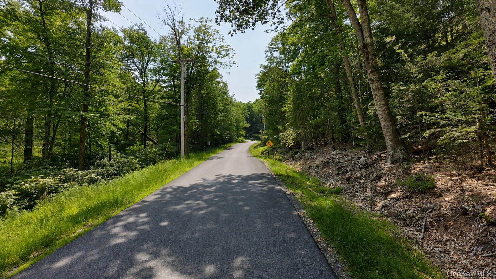 Taylor Road Mountain Dale, NY 12763 - Photo 1 of 15 Road front