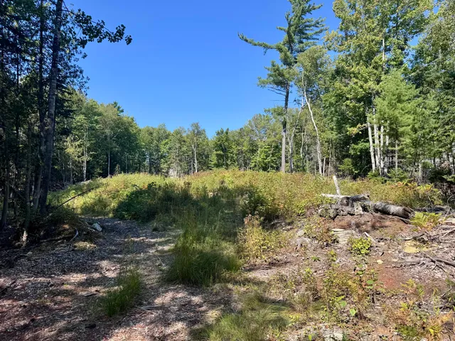 $49,900 | Lot 25 Pinetree Road, Brewer, ME 04412
