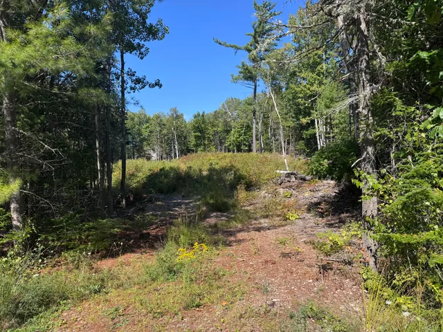 $49,900 | Lot 25 Pinetree Road, Brewer, ME 04412